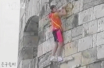 약한 자는 살아남을 수 없었던 레전드 한국예능.gif | 인스티즈