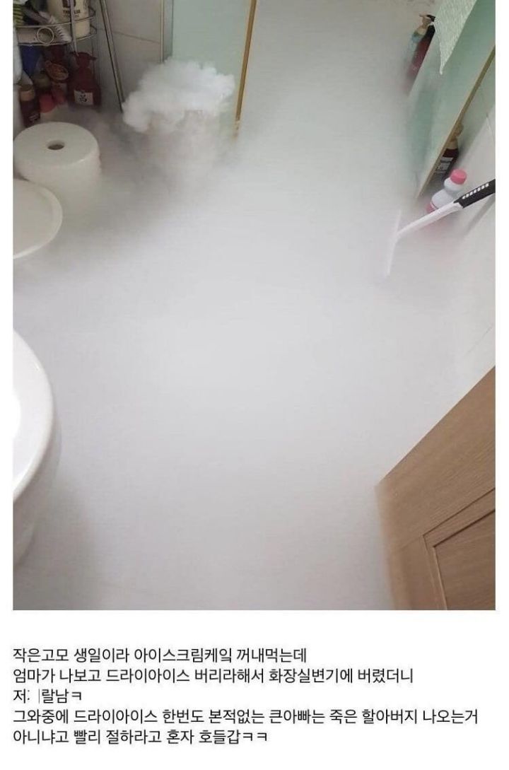 드라이아이스 대참사 | 인스티즈