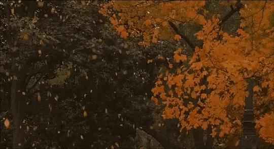 근자가 좋아하는 계절은?! | 인스티즈