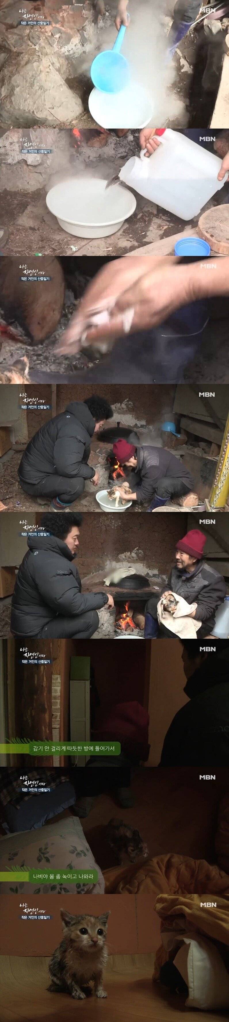 고양이를 뜨거운물에 담가버리는 자연인 | 인스티즈