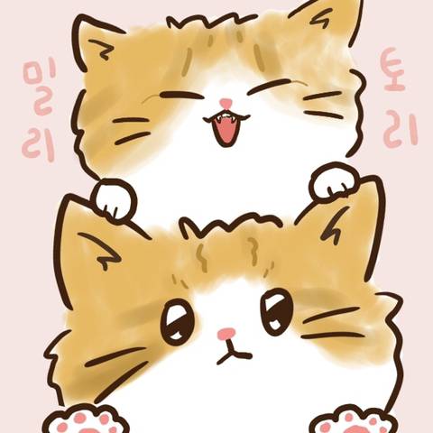 우리가 사랑했던 블랙 위도우와 스칼렛 위치의 관계성 | 인스티즈