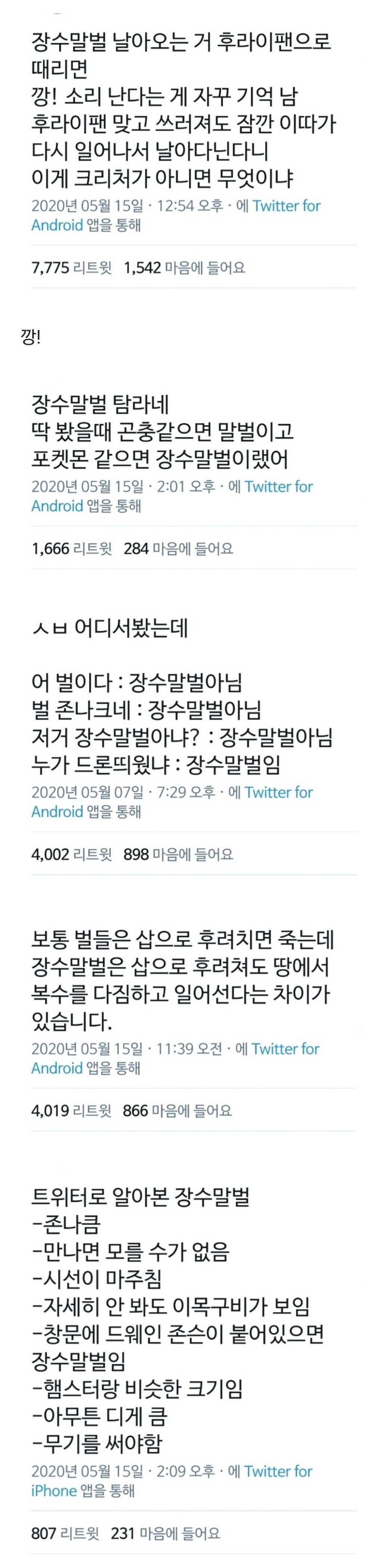 썸네일-코 앞에서 본 장수말벌 실물-이미지