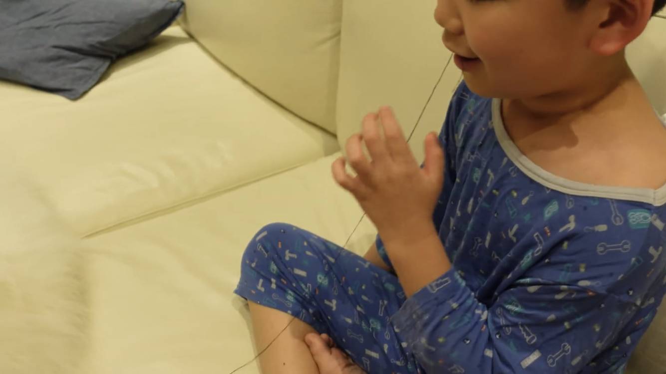 사모예드와 흔들리는 이 뽑는 법 | 인스티즈