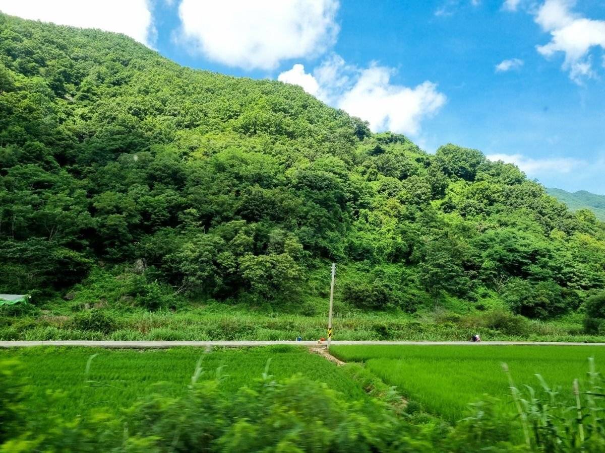 의외로 많은 사람들이 모르는 갤럭시 카메라 기능 | 인스티즈