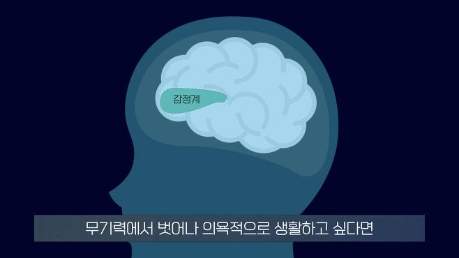 무기력한 사람들의 뇌 MRI 찍어보니.. 소름돋는 결과 | 인스티즈