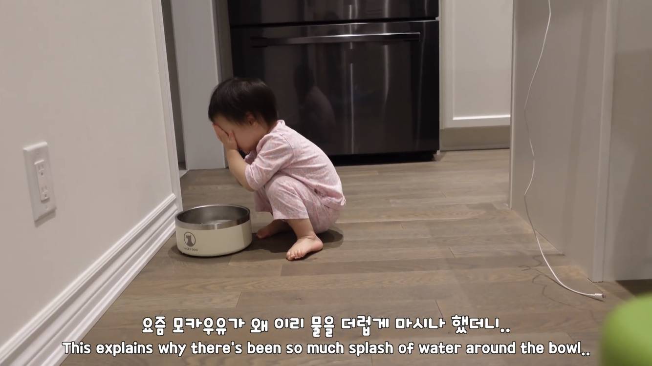 사모예드와 흔들리는 이 뽑는 법 | 인스티즈