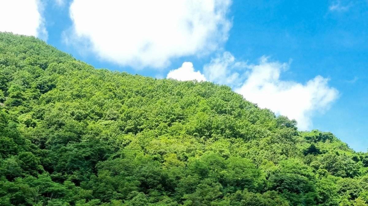 의외로 많은 사람들이 모르는 갤럭시 카메라 기능 | 인스티즈