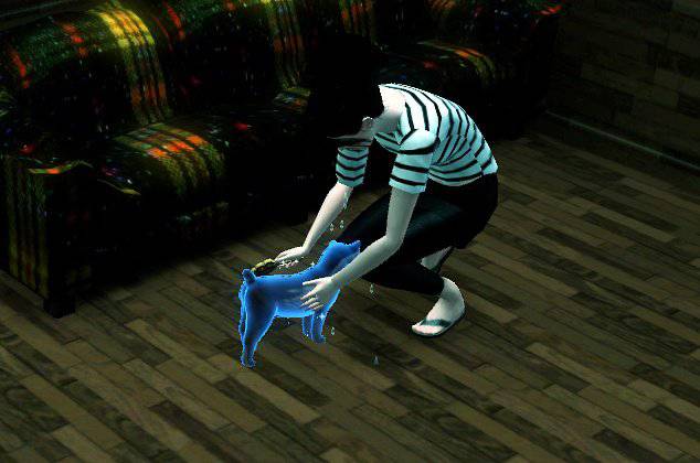 [심즈3] 죽은 고양이가 유령으로 찾아왔어요 | 인스티즈