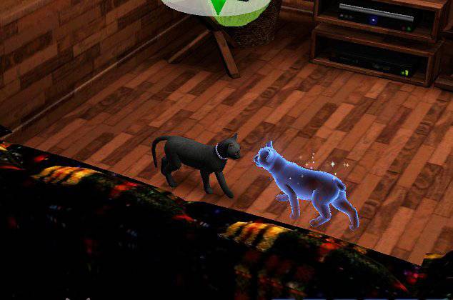 [심즈3] 죽은 고양이가 유령으로 찾아왔어요 | 인스티즈