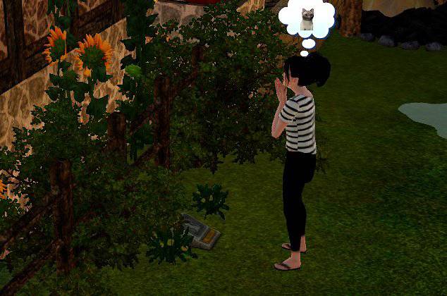 [심즈3] 죽은 고양이가 유령으로 찾아왔어요 | 인스티즈