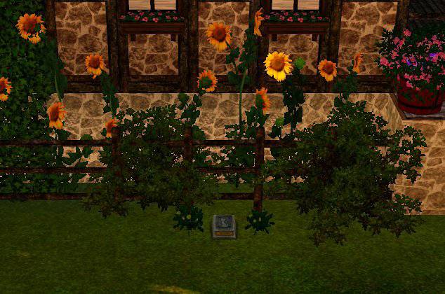 [심즈3] 죽은 고양이가 유령으로 찾아왔어요 | 인스티즈