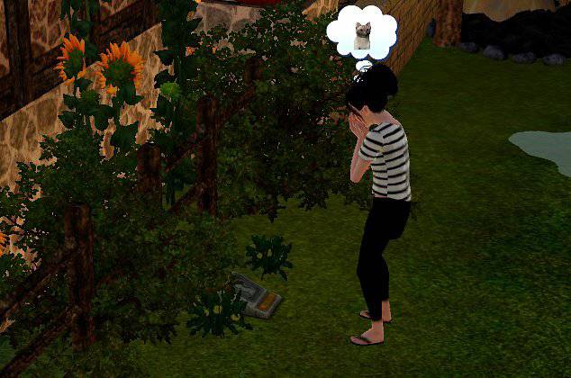 [심즈3] 죽은 고양이가 유령으로 찾아왔어요 | 인스티즈