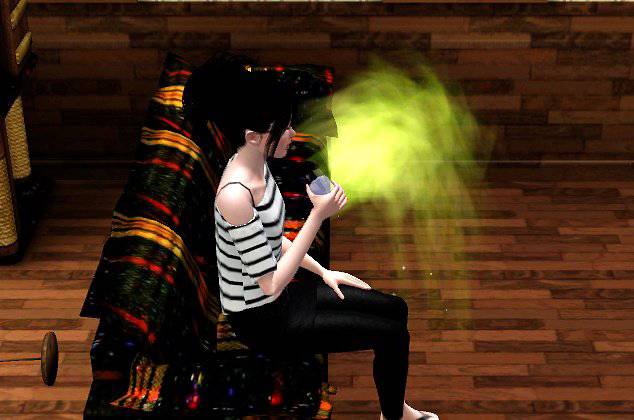 [심즈3] 죽은 고양이가 유령으로 찾아왔어요 | 인스티즈