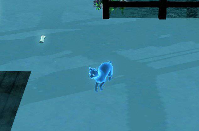 [심즈3] 죽은 고양이가 유령으로 찾아왔어요 | 인스티즈