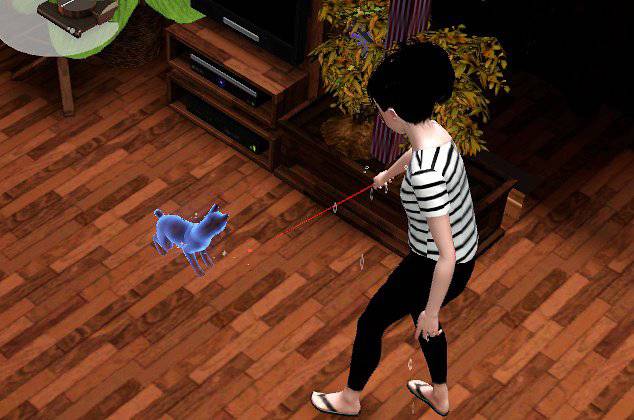 [심즈3] 죽은 고양이가 유령으로 찾아왔어요 | 인스티즈