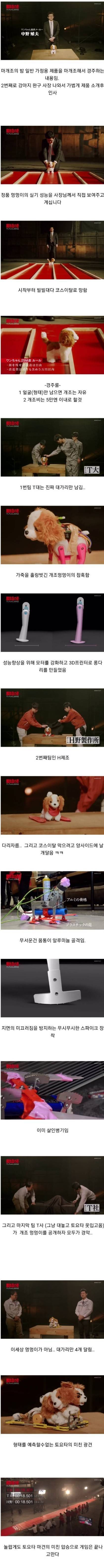 일본에서 개최된 장난감 강아지 달리기 대회 | 인스티즈