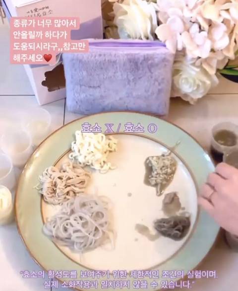 인스타스타들이 공구하는"효소” 활성 실험들을 보면 실소 나오는 이유 | 인스티즈