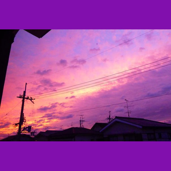 일본에서 찍힌 보라색 하늘의 정체.jpg | 인스티즈