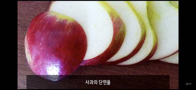 아 존나 재밌는데 한번만 봐봐 니 운명이 이미 정해져 있다는 과학적 이유 (개소름주의) | 인스티즈