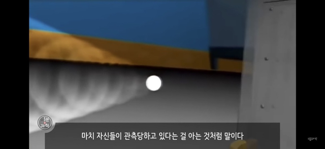 아 존나 재밌는데 한번만 봐봐 우리가 운 좋게 살아있는 과학적 이유 (개소름주의) | 인스티즈