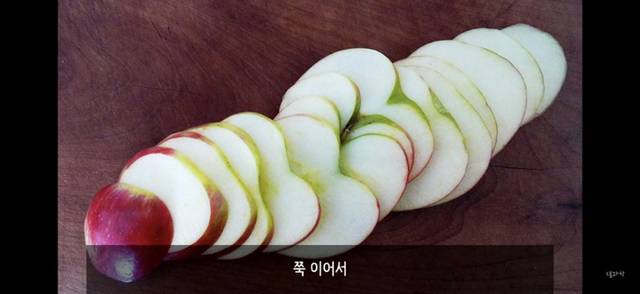 아 존나 재밌는데 한번만 봐봐 니 운명이 이미 정해져 있다는 과학적 이유 (개소름주의) | 인스티즈