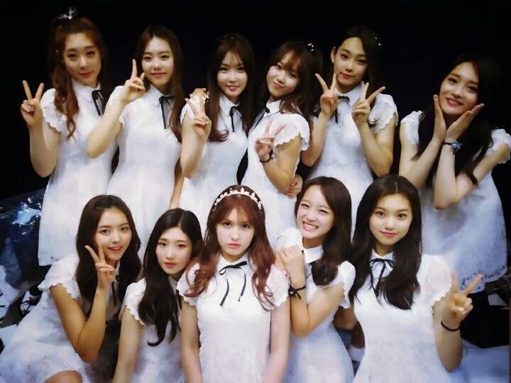 본인이 아이오아이에서 제일 좋아한 최애 멤버는? | 인스티즈