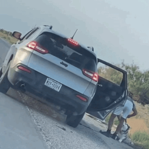 강아지 유기하고 도망가는 쓰레기 | 인스티즈