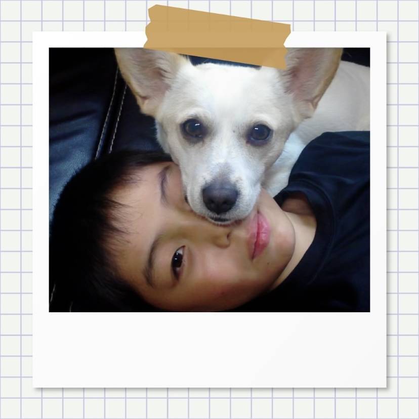 강아지별로 떠난 전 엑스원 이은상 반려견 웅이 | 인스티즈