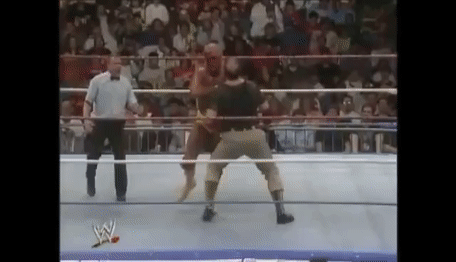 이 조건으로 나경원 또는 황교안을 팰 수 있다면 당신이 투자 가능한 금액은? | 인스티즈