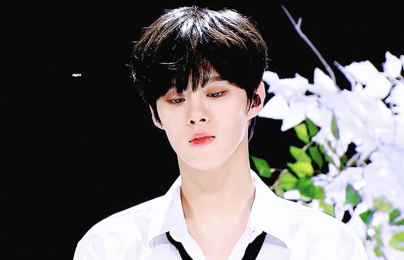 우리의 가슴을 뛰게했던 팬픽 대사들 | 인스티즈