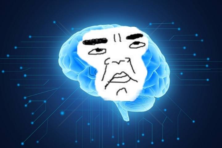 다이어트 하니까 무조건 (체)지방을 없애야겠지?는 당신의 착각과 큰실수 | 인스티즈