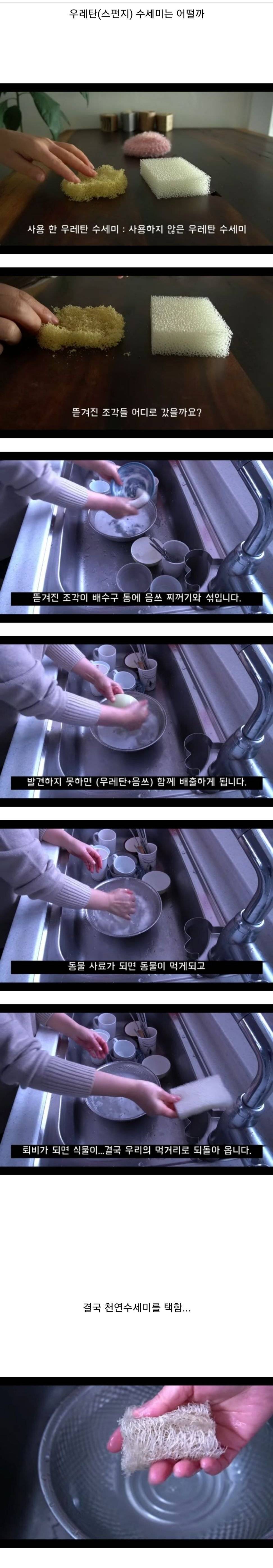 어느 유튜버가 천연 수세미를 사용하는 이유.jpg | 인스티즈
