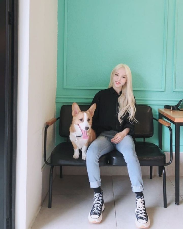 금발이 가장 잘 어울리는 아이돌 걸그룹 멤버는? | 인스티즈