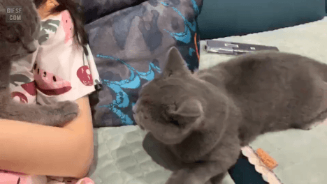 ??: 쟤가 그랬어 | 인스티즈