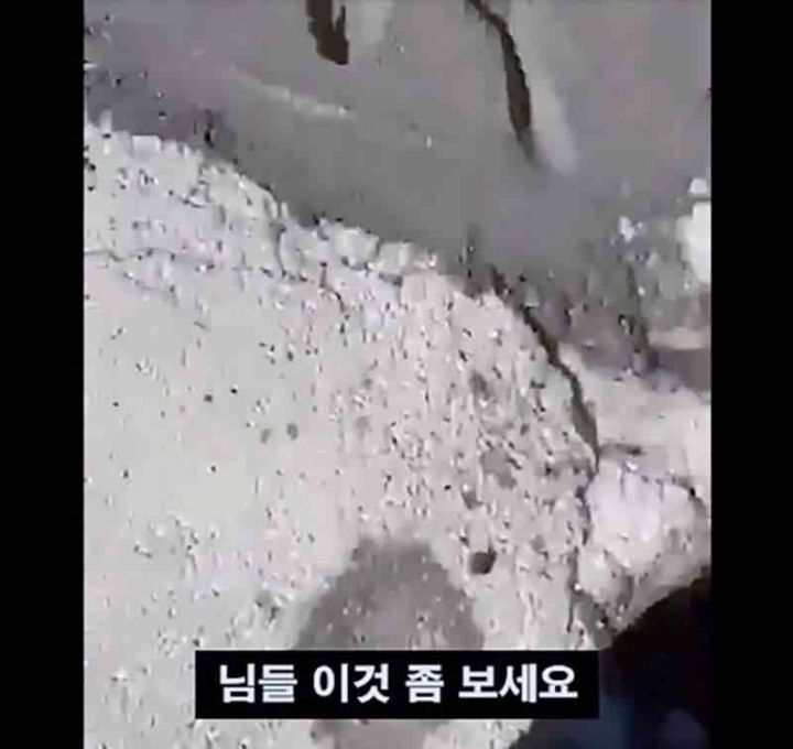 지나가다 바보을 본 외국인.jpg | 인스티즈