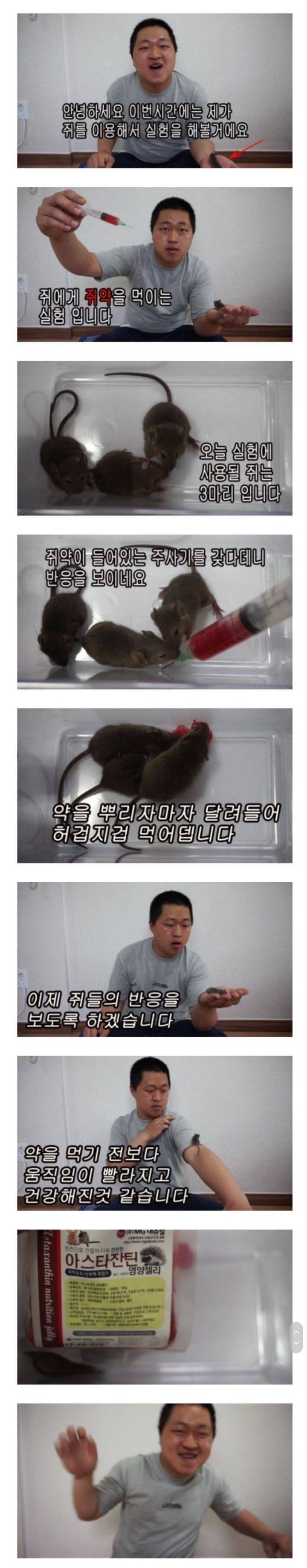 쥐한테 쥐약을 먹이면 어떻게 될까? | 인스티즈