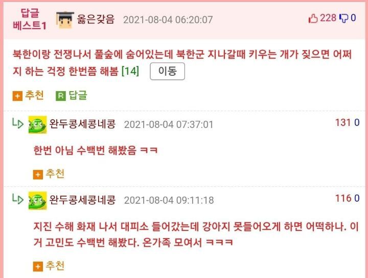 강아지 키우는 사람 특징.JPG | 인스티즈