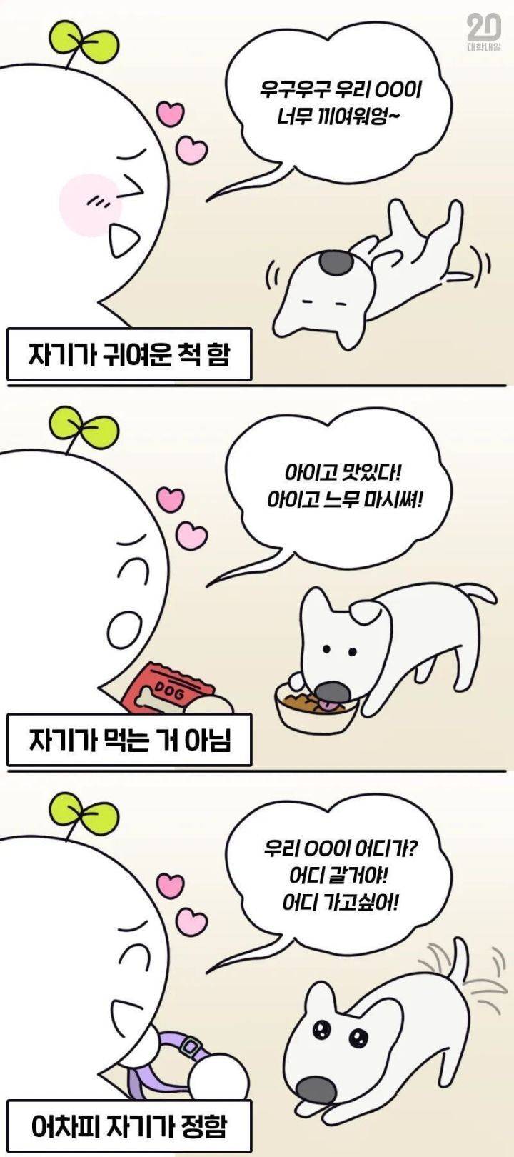 강아지 키우는 사람 특징.JPG | 인스티즈