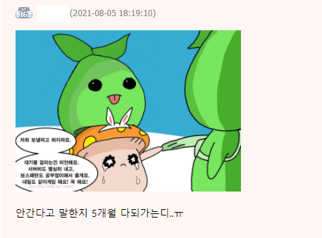 이번 메이플 쇼케이스를 본 어느 로아유저가 올린 메난민에게 보내는 편지 | 인스티즈