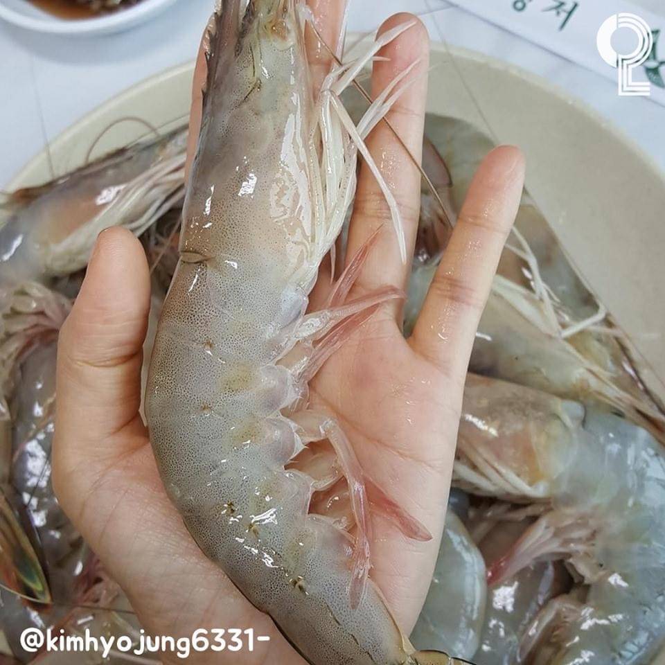 슬슬 이맘때 쯤 조져 줘야 하는🦐 대하구이 🦐 | 인스티즈