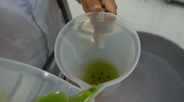 구슬아이스크림 만드는 방법.jpg | 인스티즈