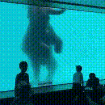 바다코끼리 실물.gif | 인스티즈