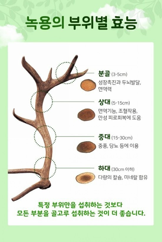 건강보조제 무제한 섭취이용권 vs 오천만원 받기 | 인스티즈