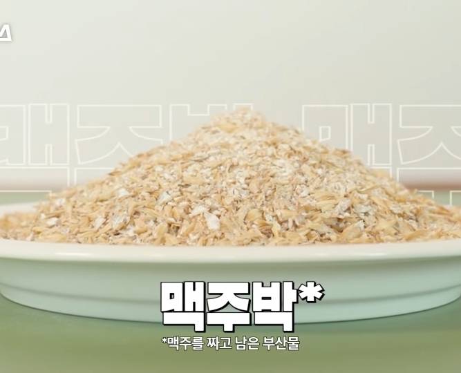 씹어 먹는 맥주?! | 인스티즈