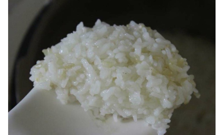 된밥 vs 진밥.jpg | 인스티즈