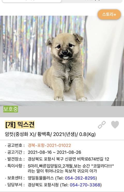 사랑이 느껴지는 포인핸드의 담당자들 | 인스티즈