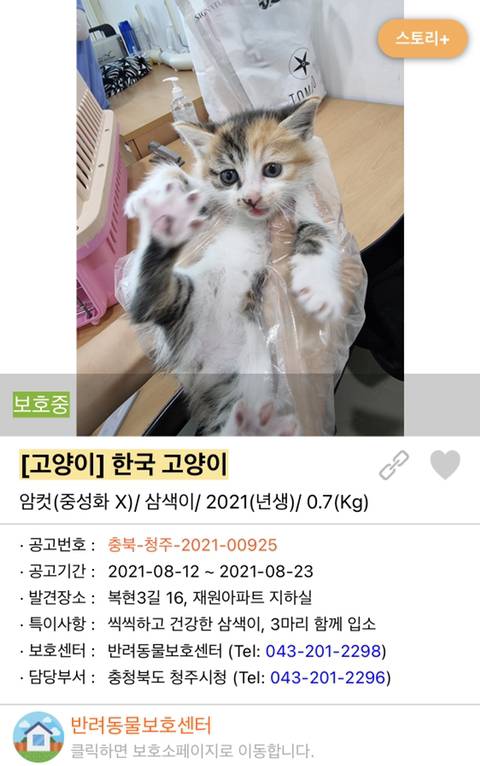 사랑이 느껴지는 포인핸드의 담당자들 | 인스티즈