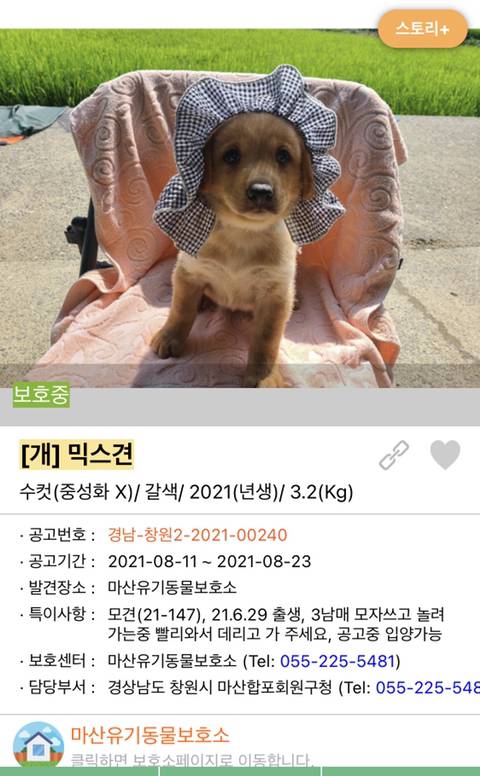 사랑이 느껴지는 포인핸드의 담당자들 | 인스티즈