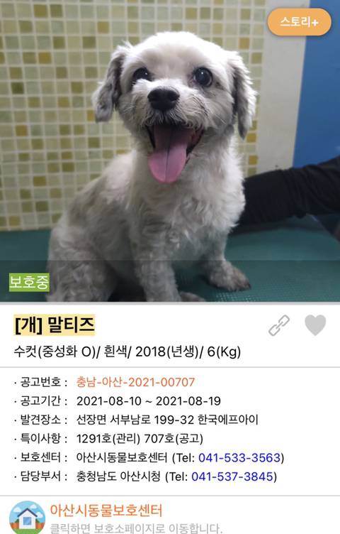 사랑이 느껴지는 포인핸드의 담당자들 | 인스티즈