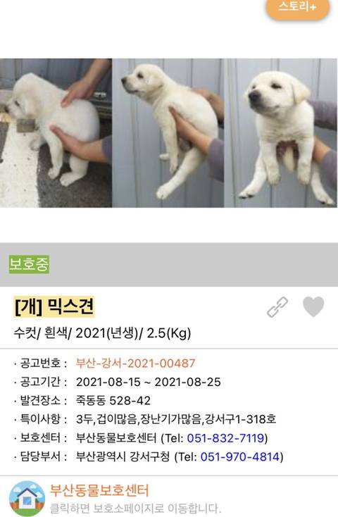 사랑이 느껴지는 포인핸드의 담당자들 | 인스티즈